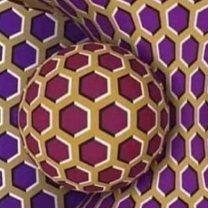 Meet your Posher, Evelyn